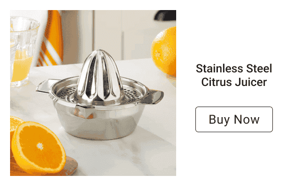 Stainless Steel Citrus Juicer