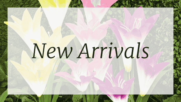 New Arrivals