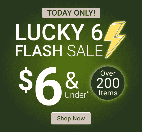 Flash Sale