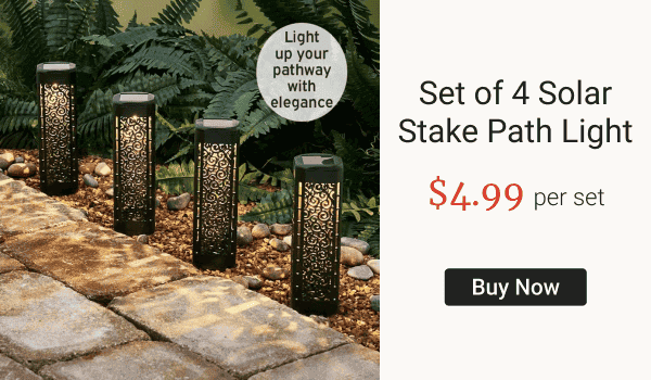 Set of 4 Solar Stake Path Light