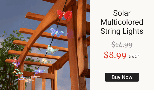 Solar Multicolored String Lights