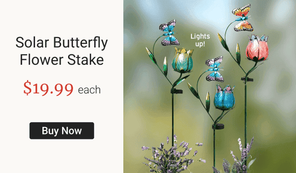 Solar Butterfly Flower Stake