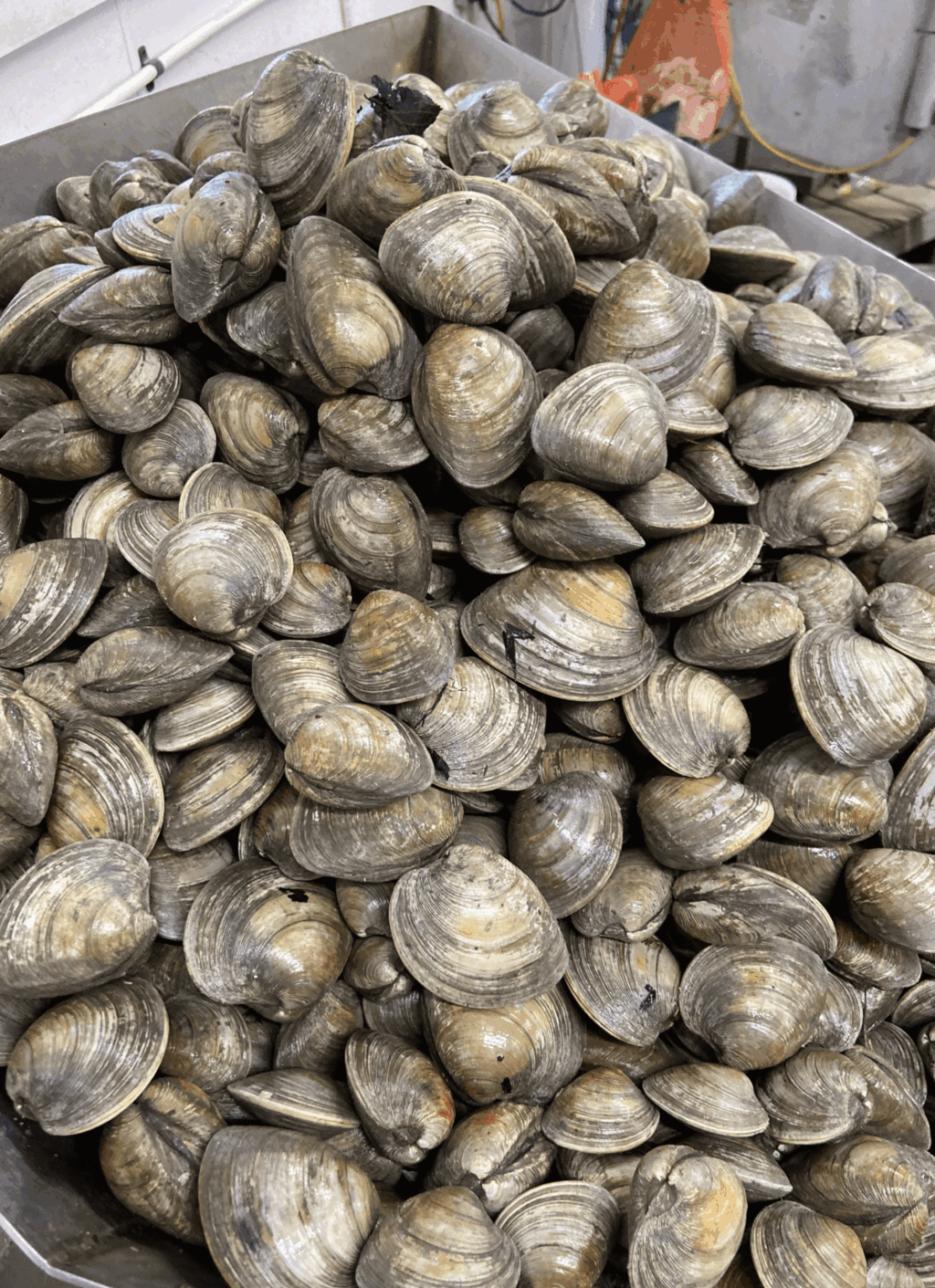 A bowl of pasta with clams