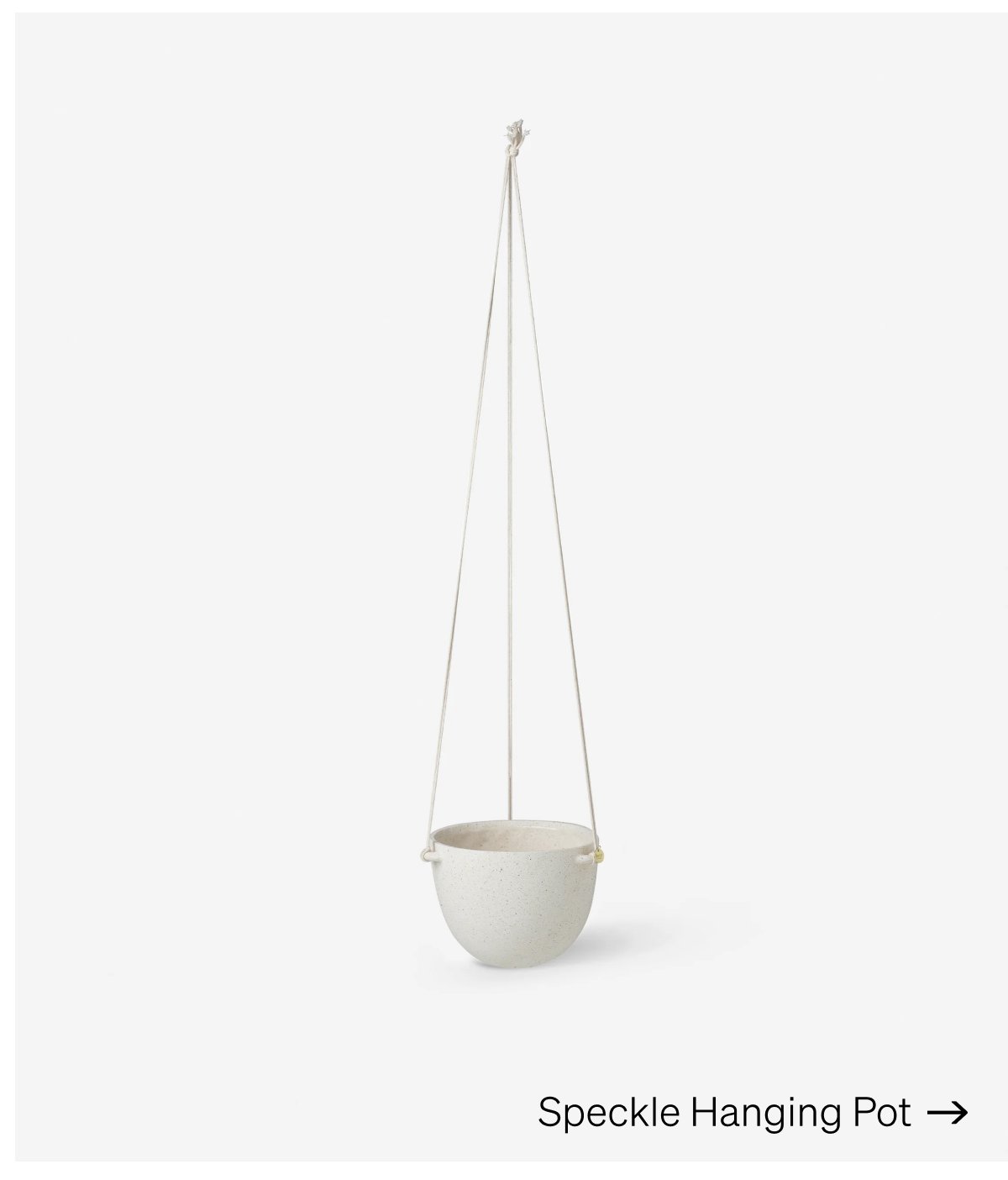 Shop Speckle Hanging Pot