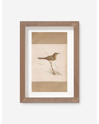 Vintage Bird Watercolor No. 61 Wall Art by Visual Contrast