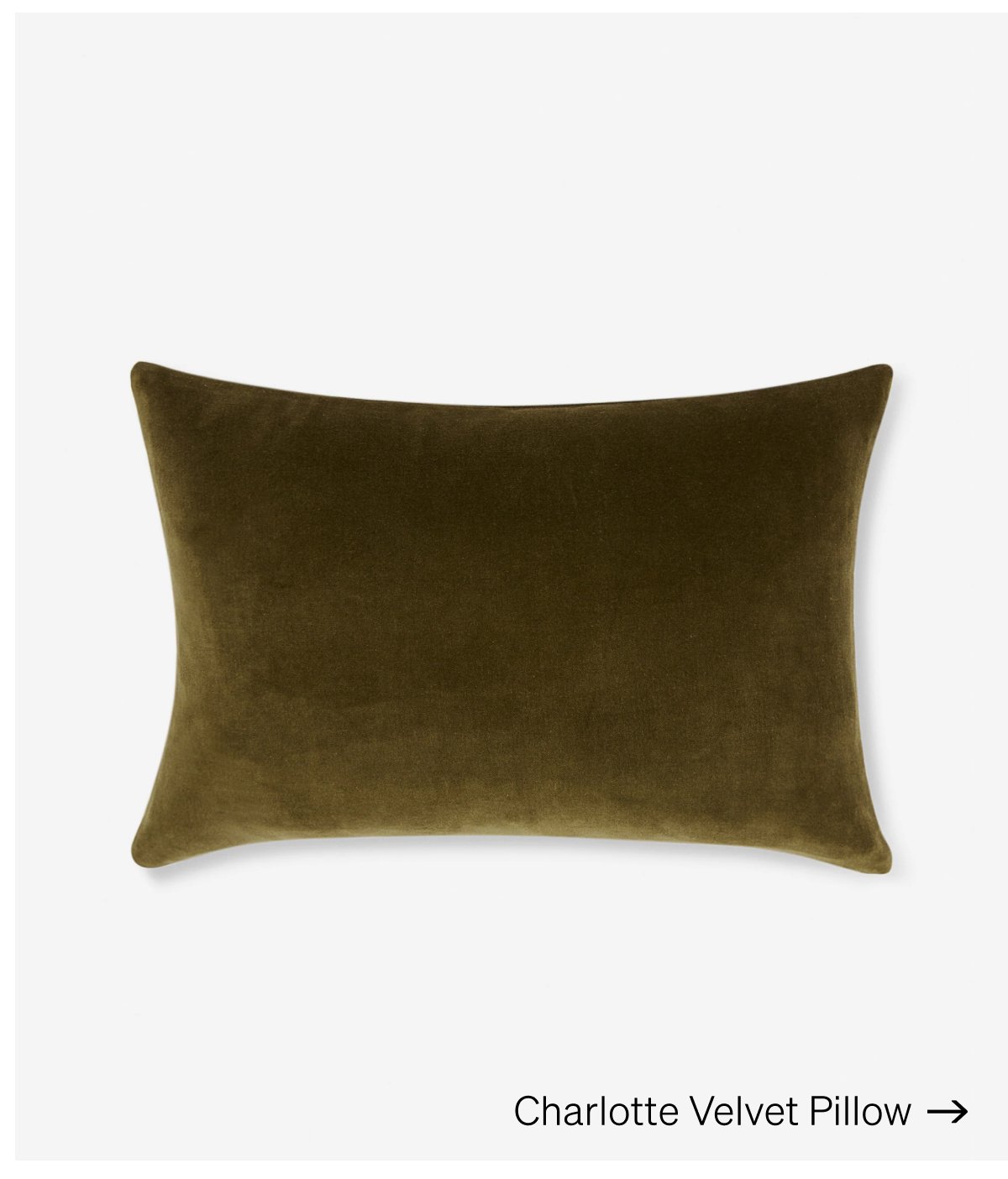 Shop Charlotte Velvet Pillow