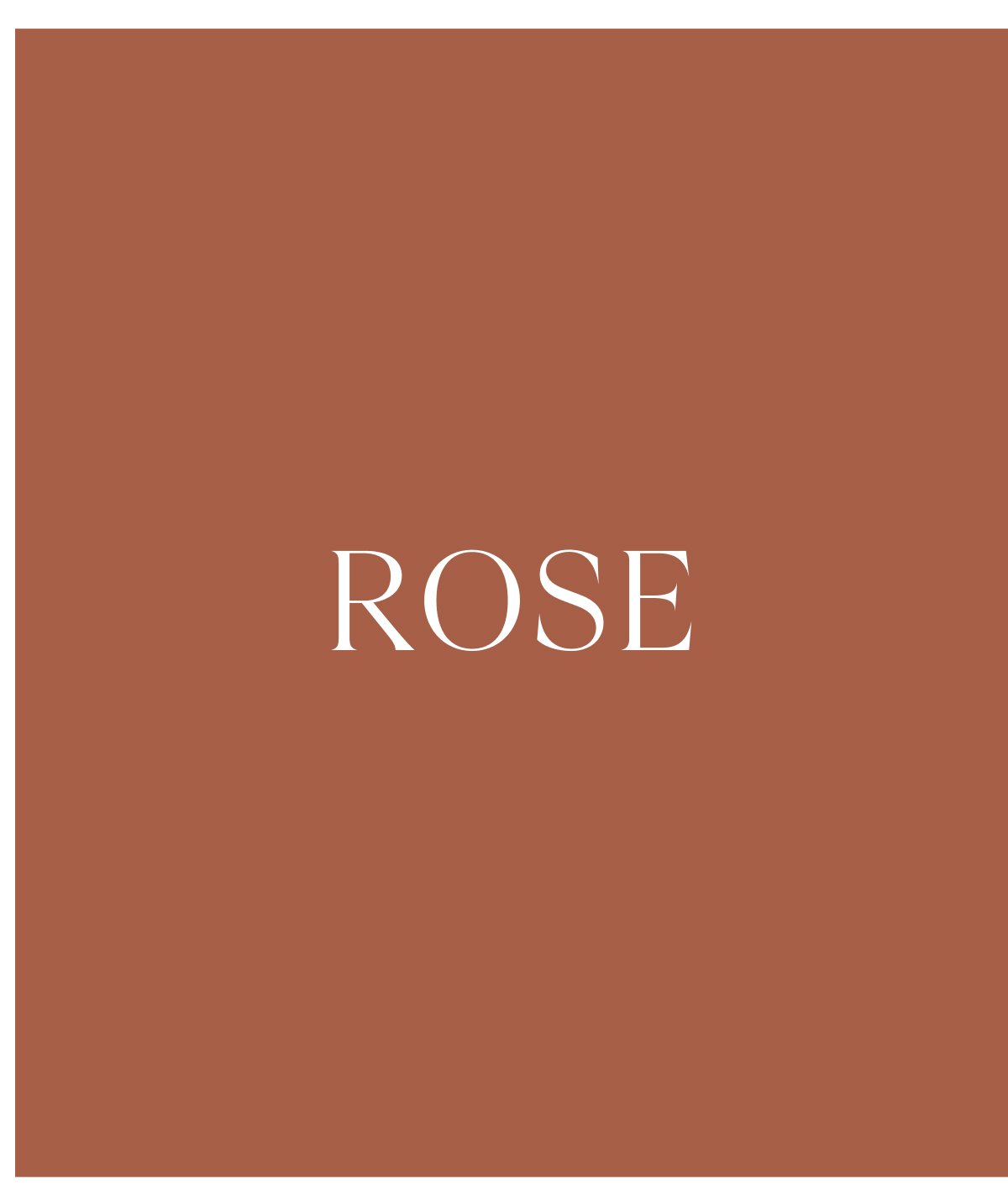 Shop Rose