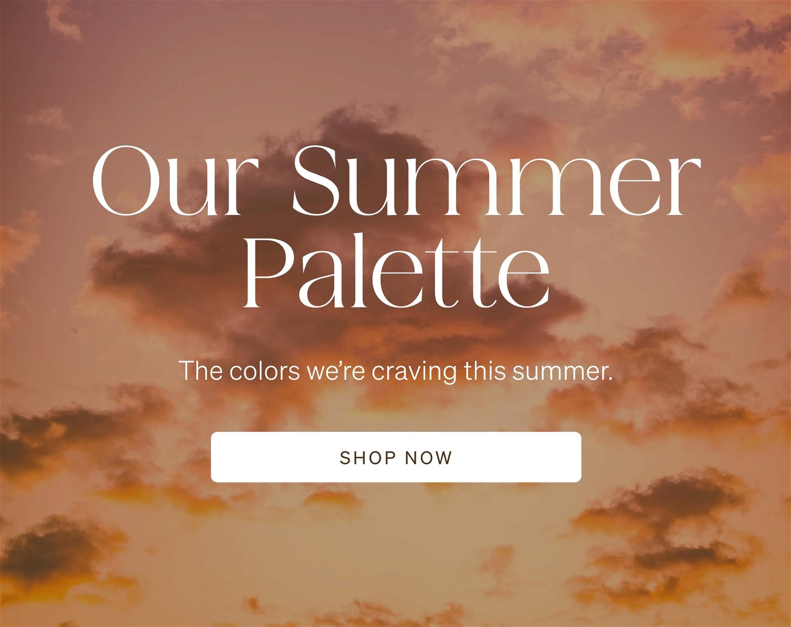 Shop Summer Palette