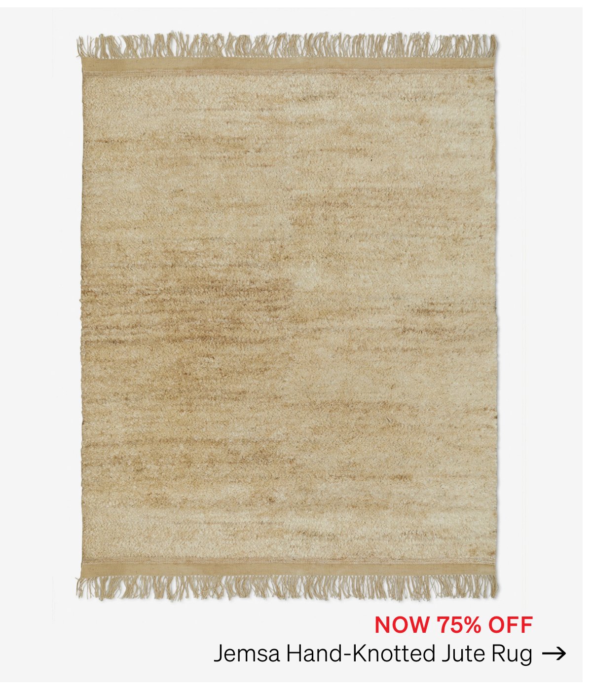 Shop Jemsa Rug