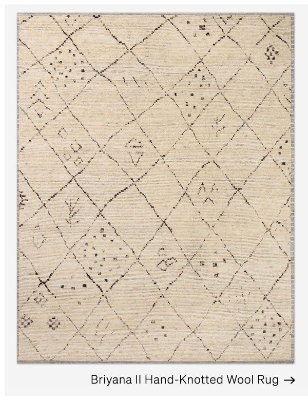 Shop Briyana II Hand-Knotted Wool Rug