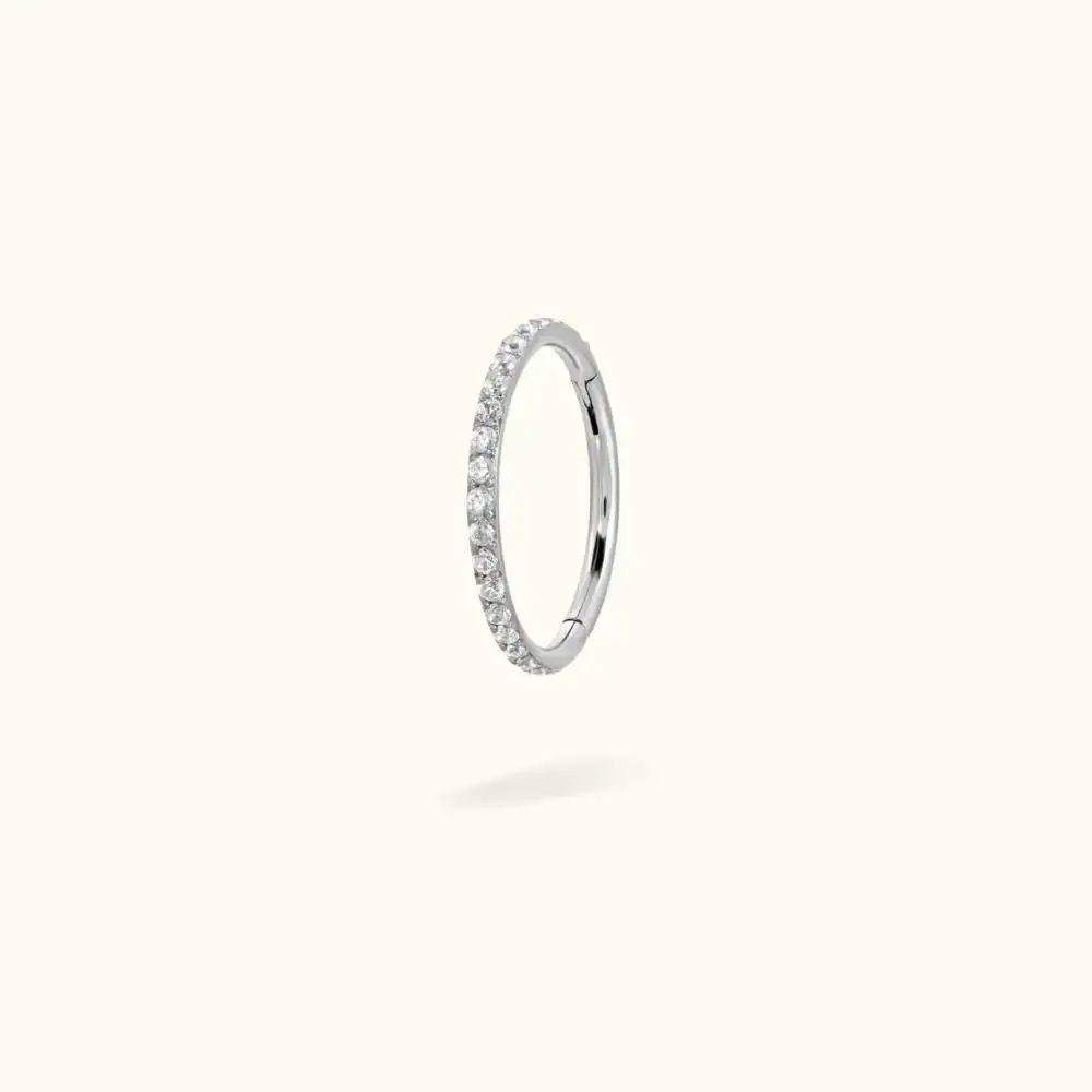 Image of Titanium Crystal Hinged Ring