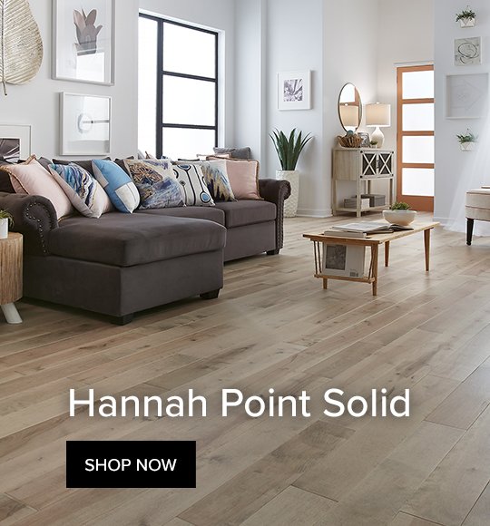 Hannah Point Solid