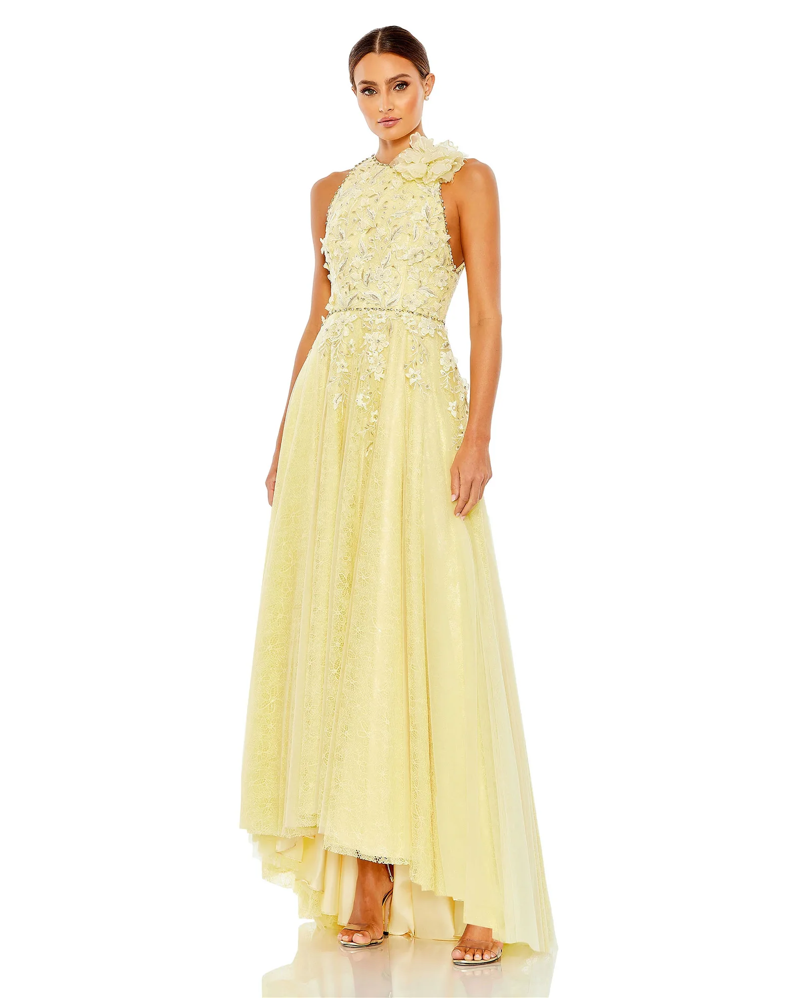 Image of Embellished High Neck Sleeveless A Line Gown