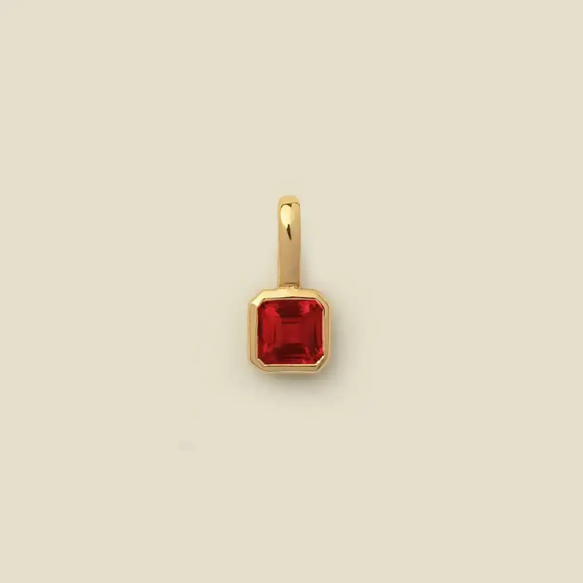 Image of January Birthstone Charm