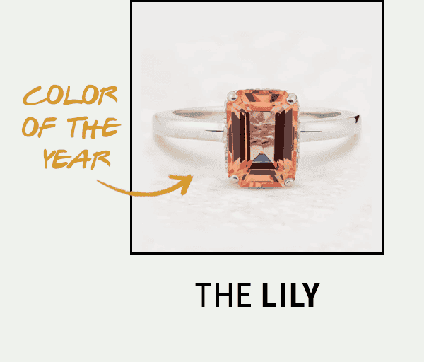 The Lily