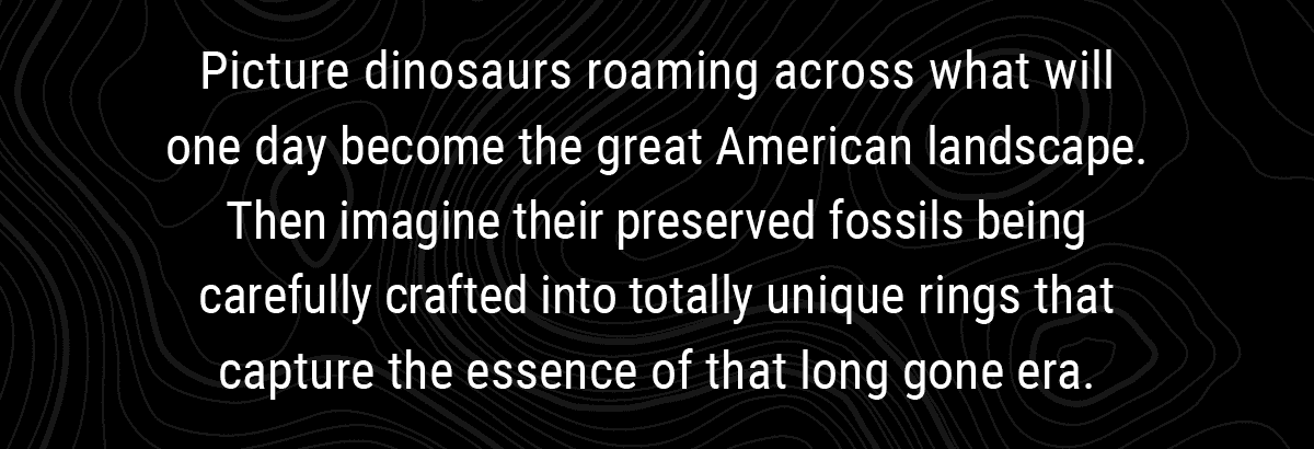 Picture dinosaurs roaming across what will one day become the great American landscape. Then imagine their preserved remains being carefully crafted into totally unique rings that capture the essence of that long gone era.