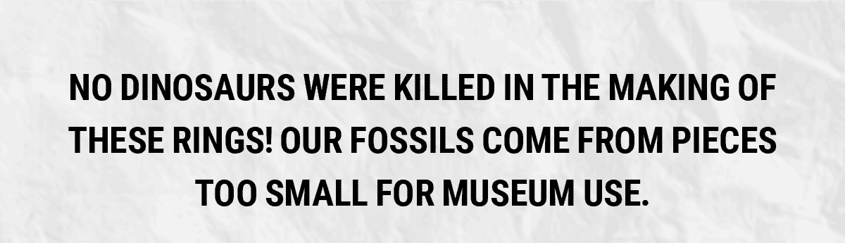 No dinosaurs were killed in the making of these rings! Our fossils come from pieces too small for museum use.