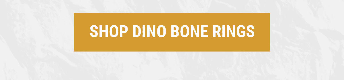 SHOP DINO BONE RINGS