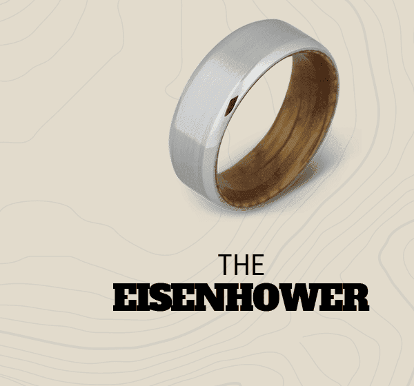 The Eisenhower