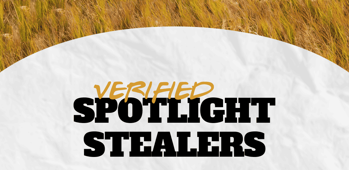 Verified Spotlight Stealers