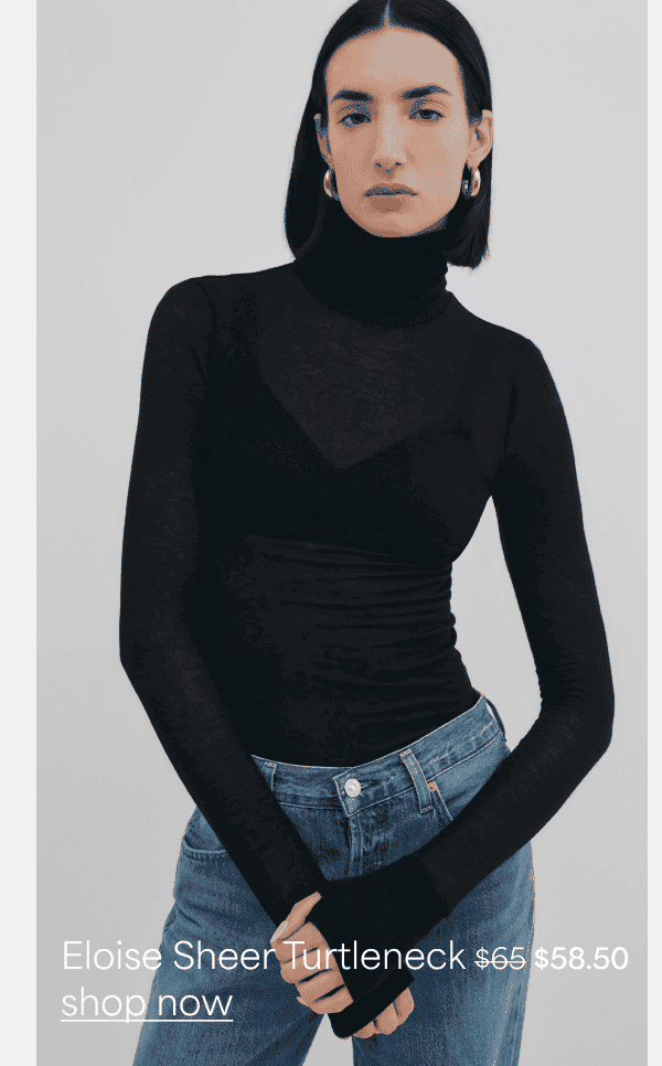 The Eloise Sheer Turtleneck