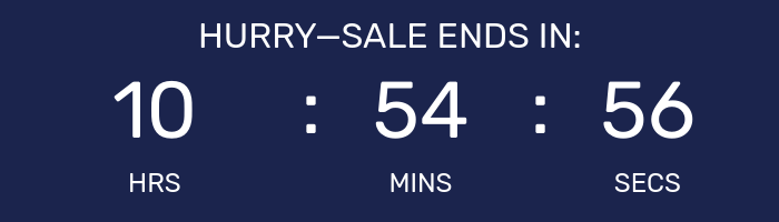 Countdown timer for Night Owl Sale.