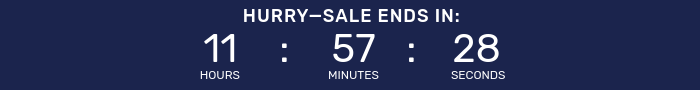 Countdown timer for Night Owl Sale.