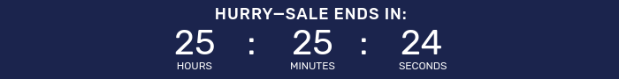 Countdown timer for Big Holiday Flash Sale.