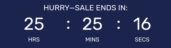 Countdown timer for Big Holiday Flash Sale.