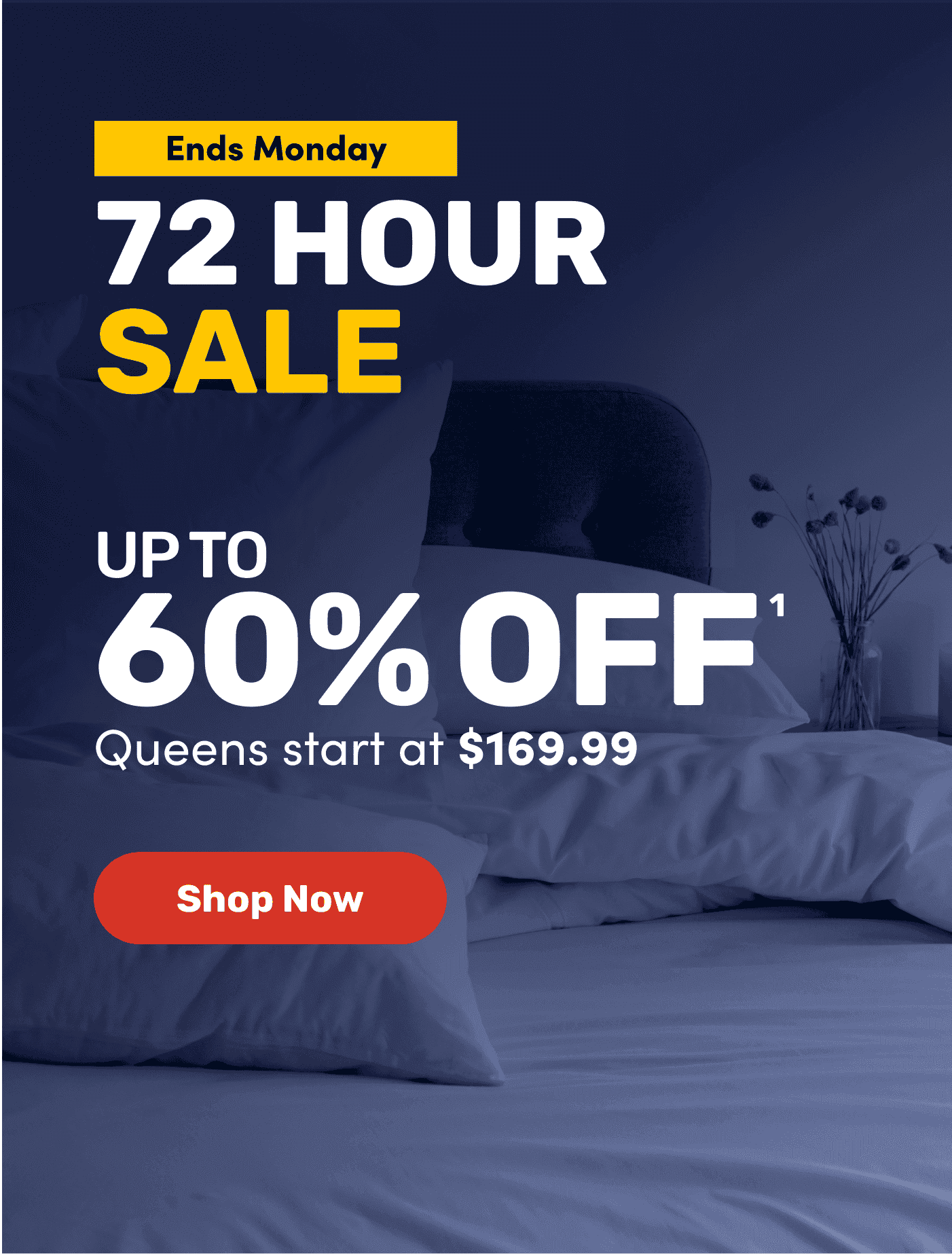 72 Hour Sale