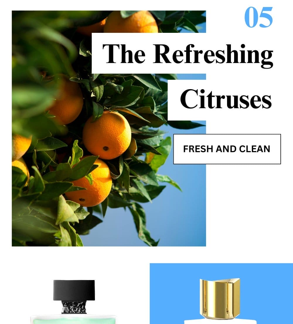 The Refreshing Citruses 