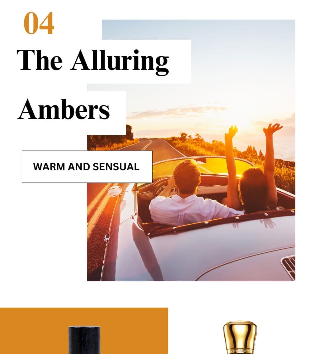 The Alluring Ambers