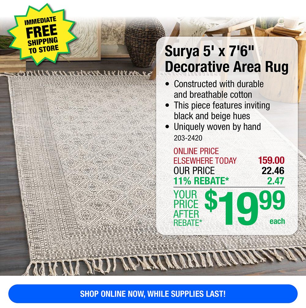 Surya 5' x 7'6" Decorative Area Rug