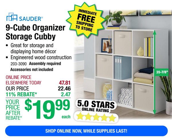 Sauder® 9-Cube Organizer Storage Cubby