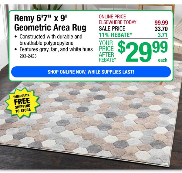 Remy Geometric Area Rug