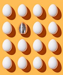 eggs on an orange background