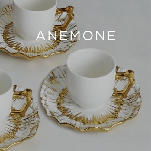 Anemone Collection