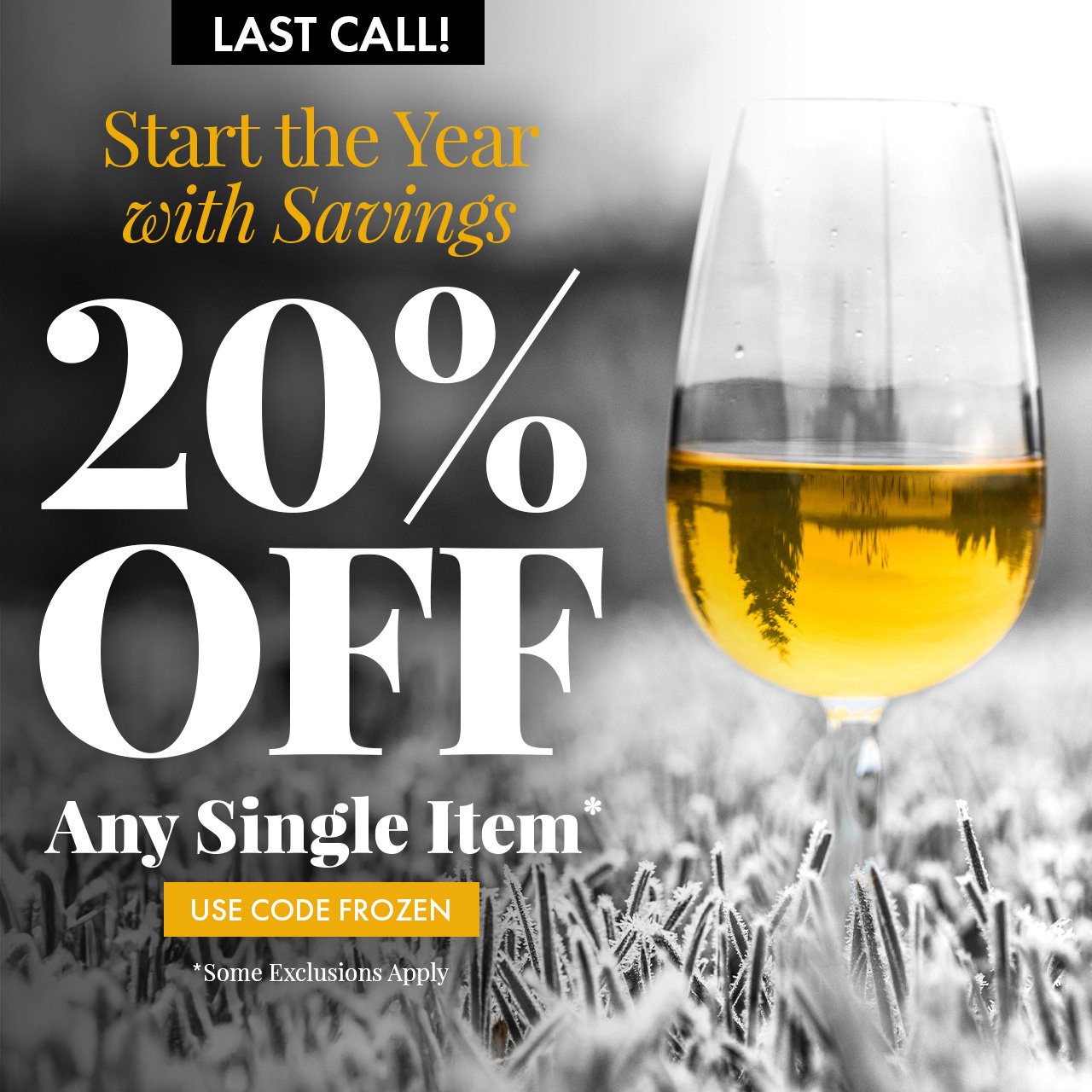 Start the Year with Savings 20% Off a Single Item* Use Code FROZEN Some exclusions apply.