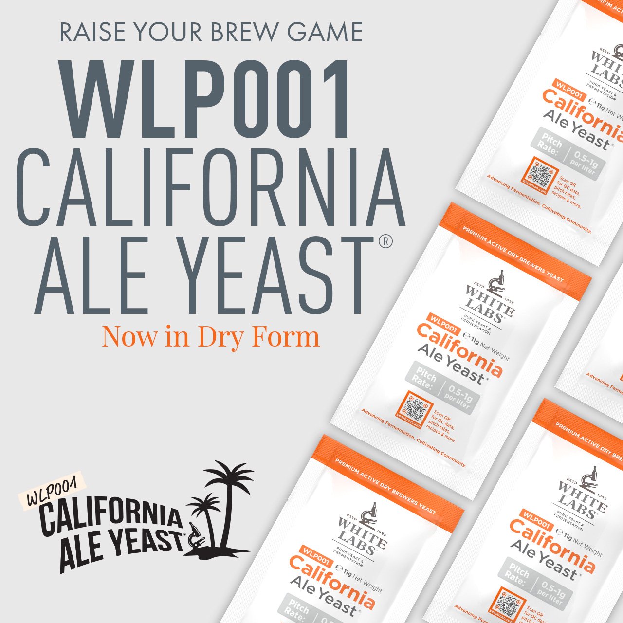 Raise Your Brew Game WLP001 California Ale Yeast ®️ Now in Dry Form