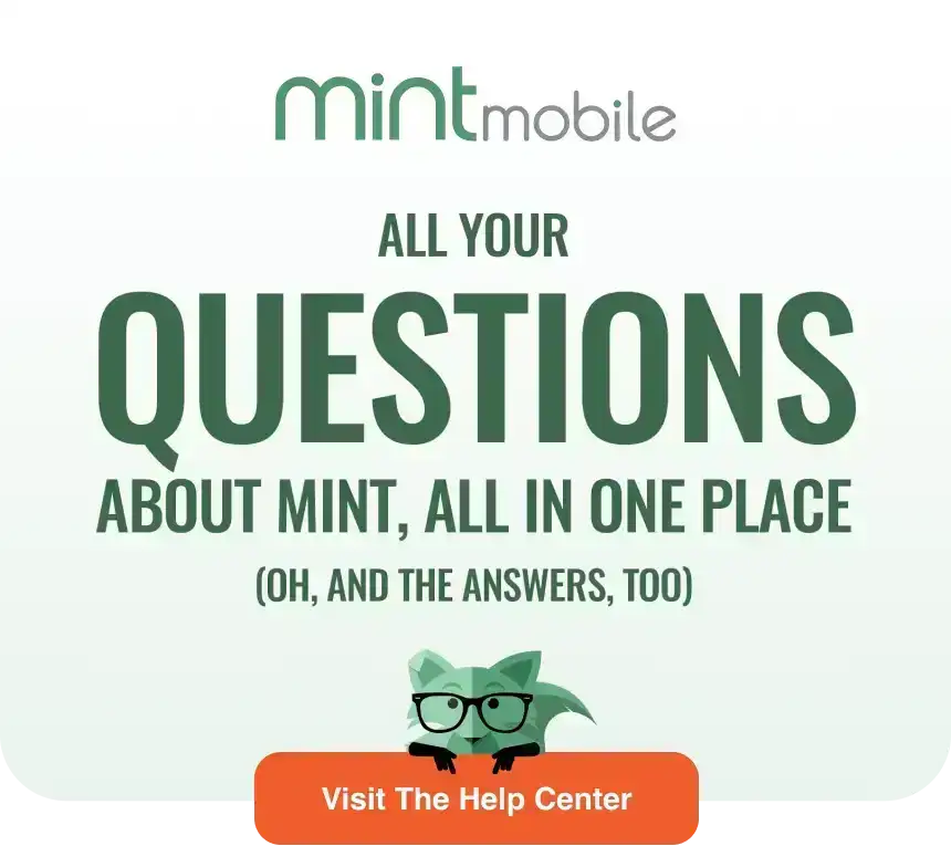 All your questions about Mint, all in one place