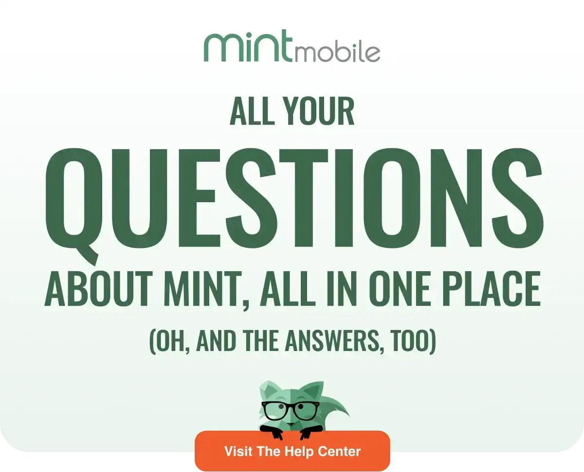 All your questions about Mint, all in one place