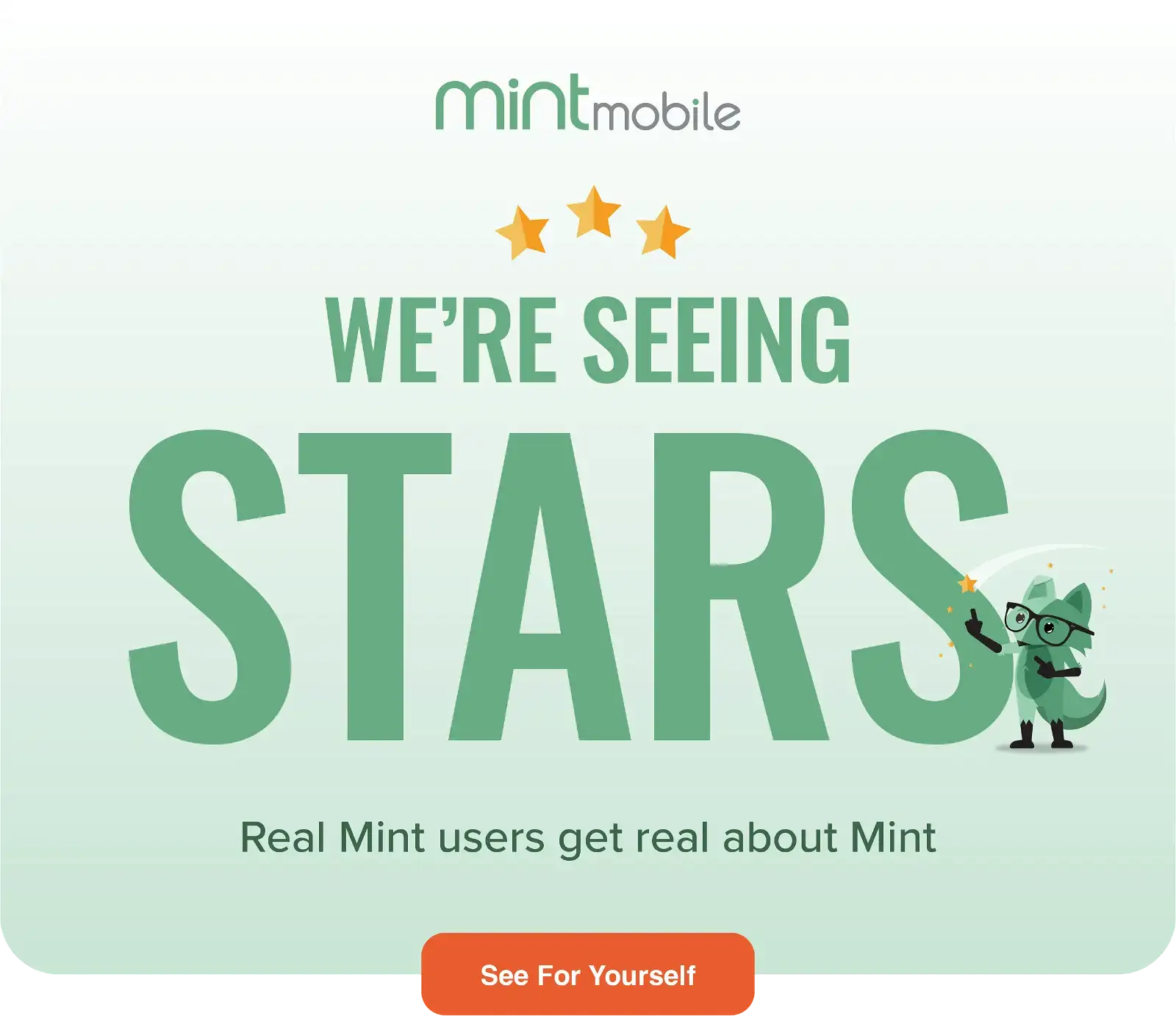 We're Seeing Stars - Real Mint users get real about Mint