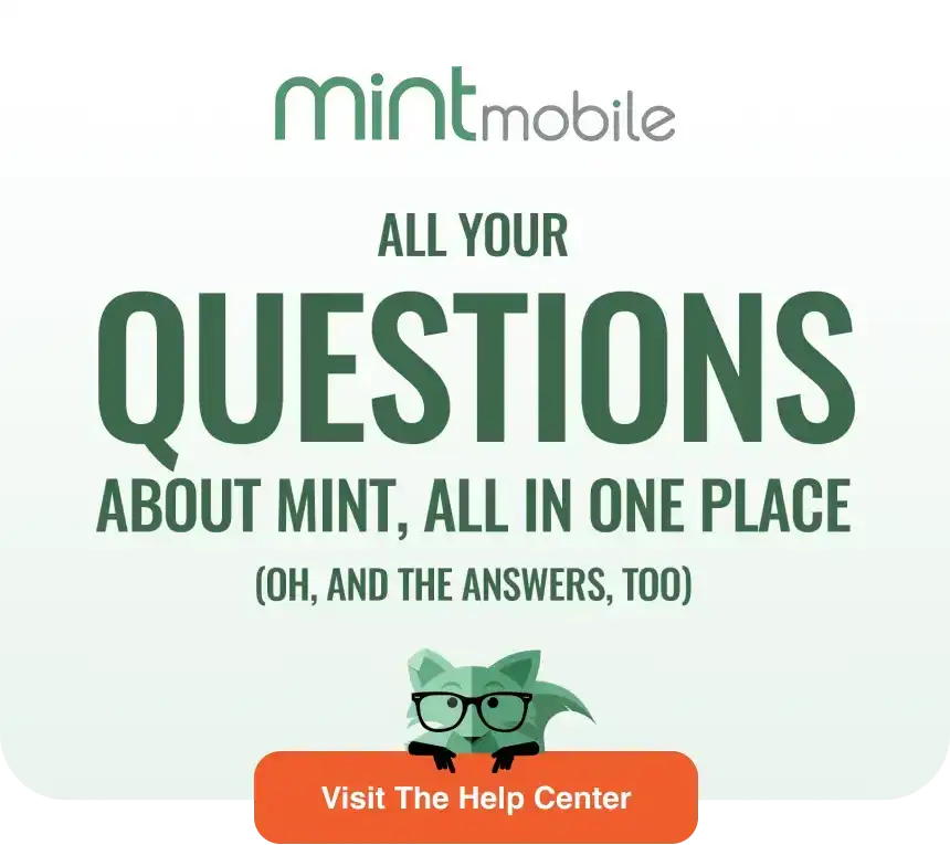 All your questions about Mint, all in one place
