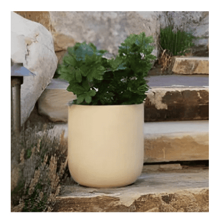 Planter Pot