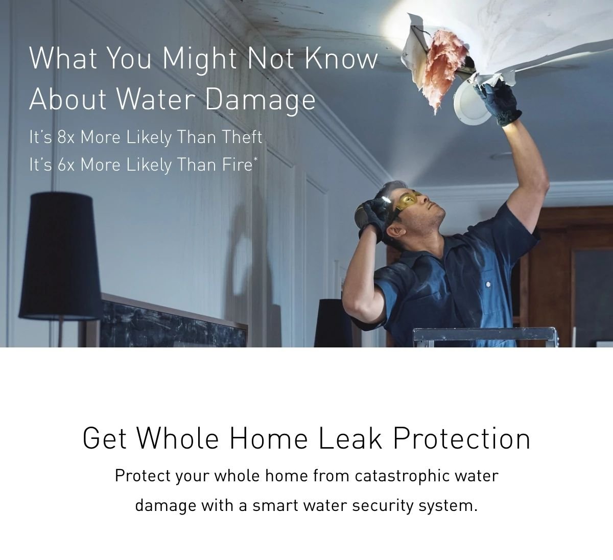 Get Whole Home Leak Protection