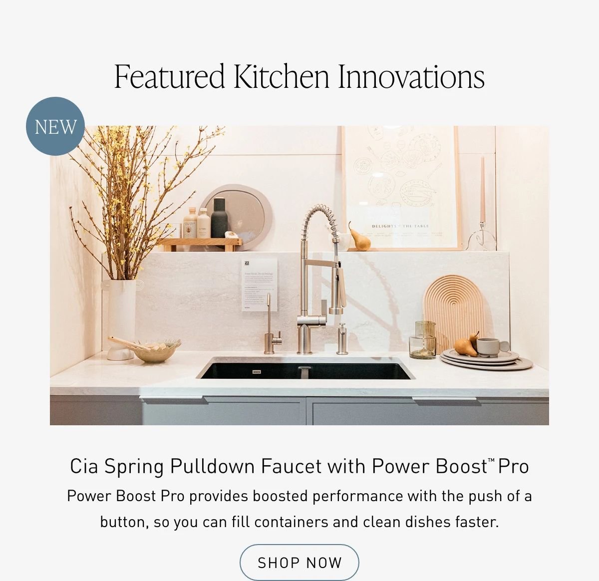 Cia Spring Pulldown Faucet with Power Boost™ Pro 
