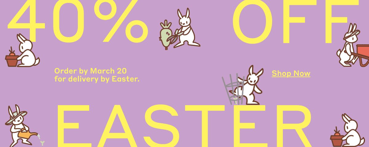 40% Off Easter! Shop Now