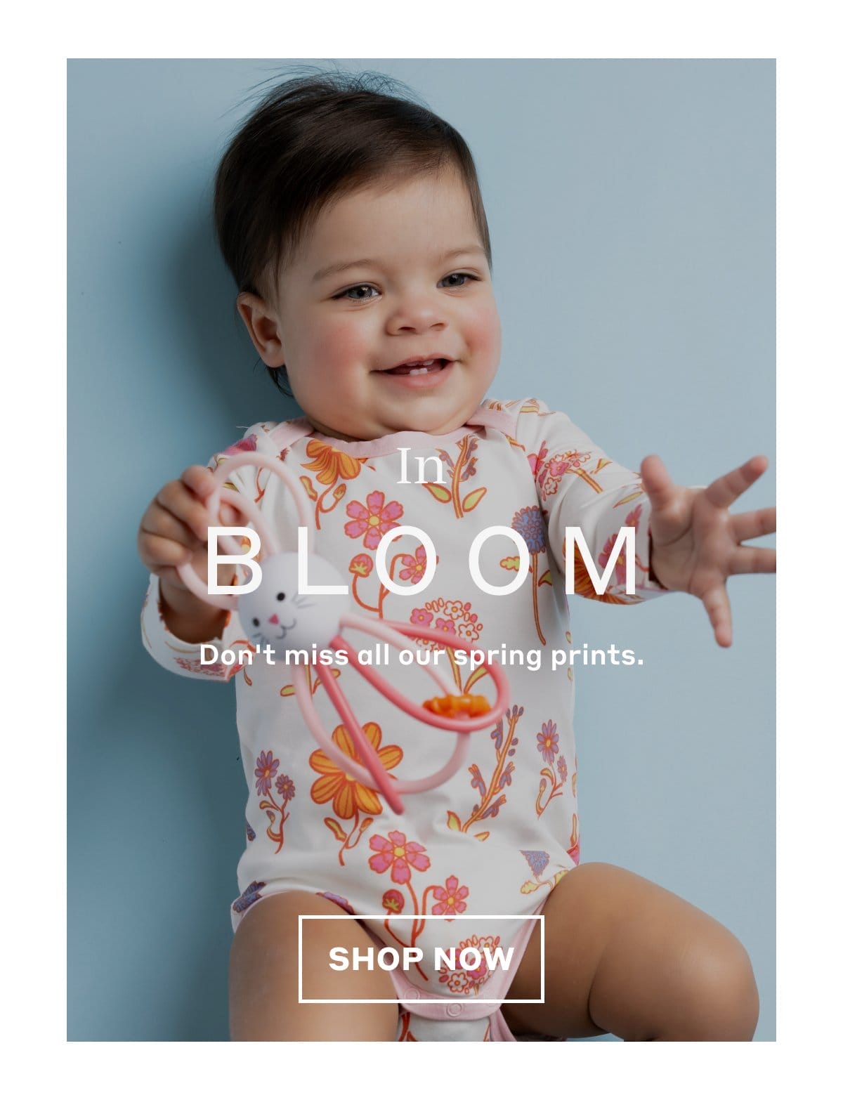 In Bloom! Shop Now