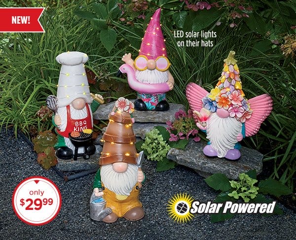 Photo of the New! Solar Fun Garden Gnome - only \\$29.99