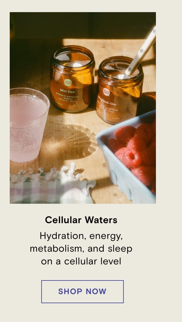 Cellular Waters Hydration, energy, metabolism, and sleep on a cellular level